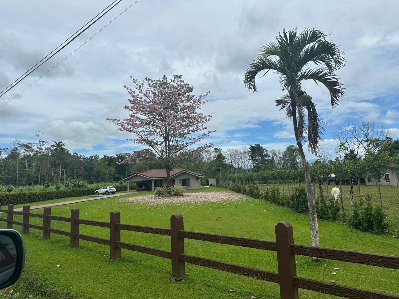 Casa Roble Fortuna La Fortuna Exteriör bild